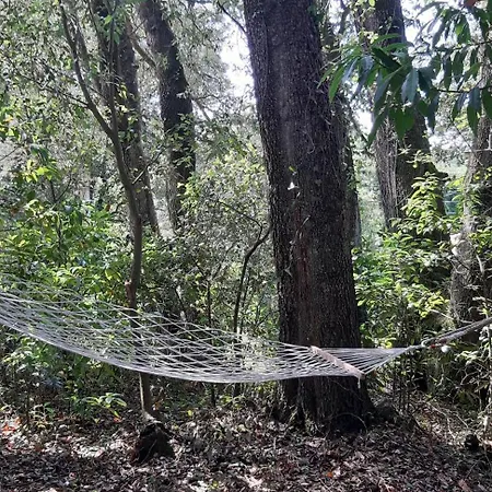 شقة La Cueva De Villahormes
