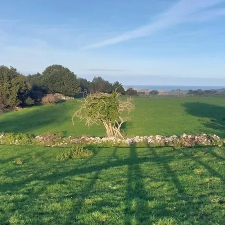 La Cueva De *